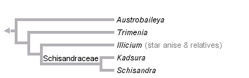 taxon links