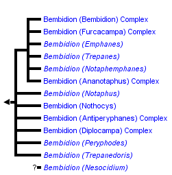 taxon links