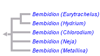 taxon links