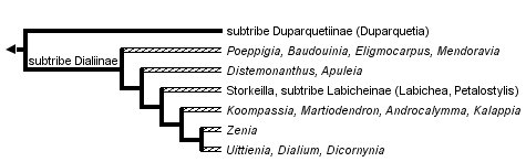 taxon links