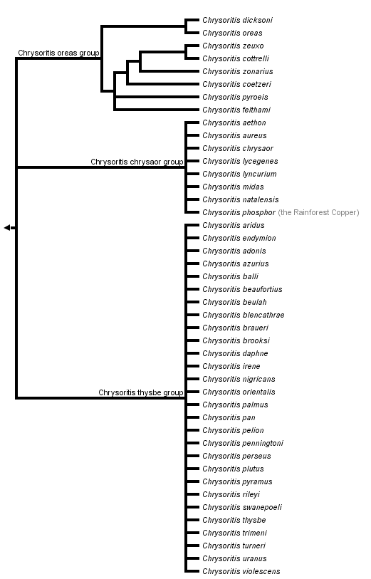 taxon links