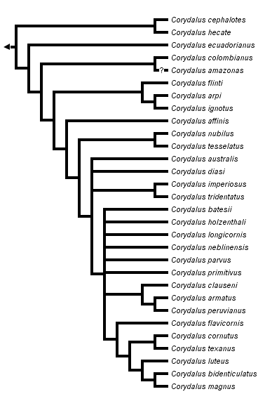 taxon links