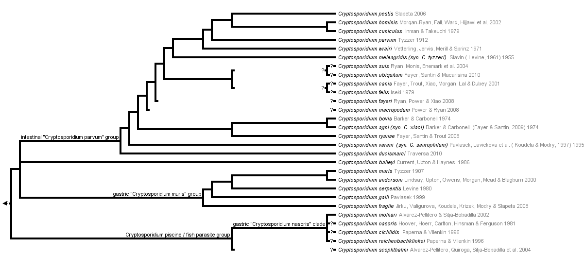 taxon links