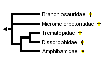 taxon links