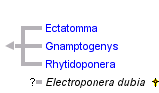 taxon links