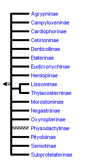 taxon links