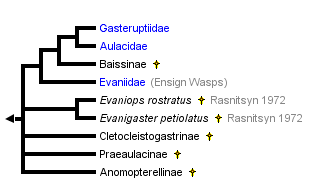 taxon links