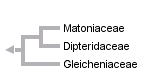 taxon links