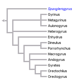 taxon links