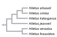 taxon links