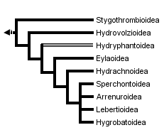 taxon links