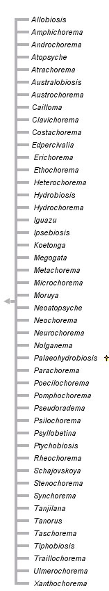 taxon links