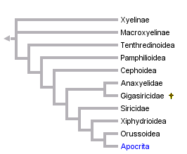 taxon links