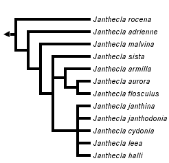 taxon links