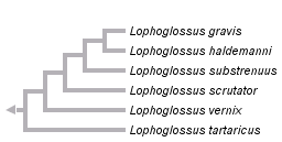 taxon links