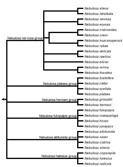 taxon links