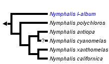 taxon links