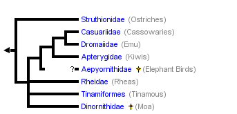 taxon links