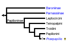 taxon links