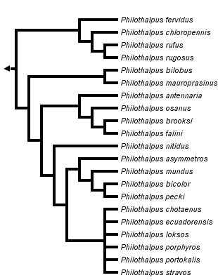 taxon links