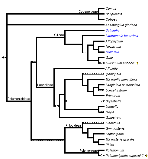 taxon links