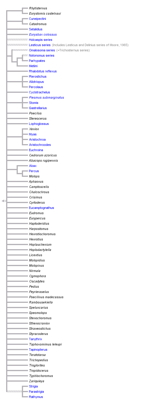 taxon links