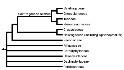 taxon links