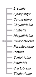 taxon links