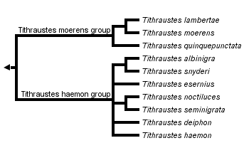 taxon links