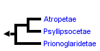 taxon links