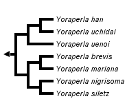 taxon links