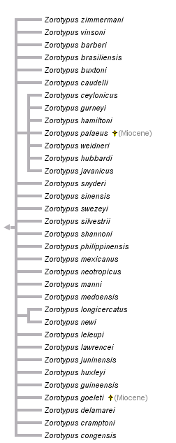 taxon links