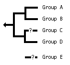 tree with incertae sedis taxa: Group C is shown as sister group of Group D, Group E is shown below the tree