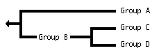 tree with branch leading to (C, D) labelled as Group B