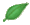 ToL leaf icon